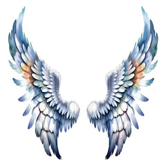 Fototapeta premium Watercolor Angel Wings Isolated on Transparent Background