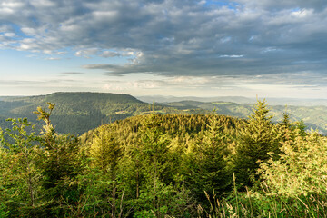 Landscape panorama on the Black Forest High Road in morning light, Seebach, Baden-Wuerttemberg,...