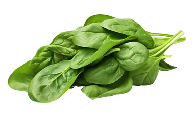 Green and fresh Spinach on Transparent Background