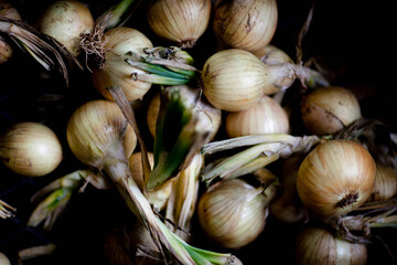 White onions on black background
