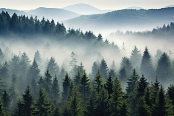 Misty landscape with fir forest in vintage retro style.