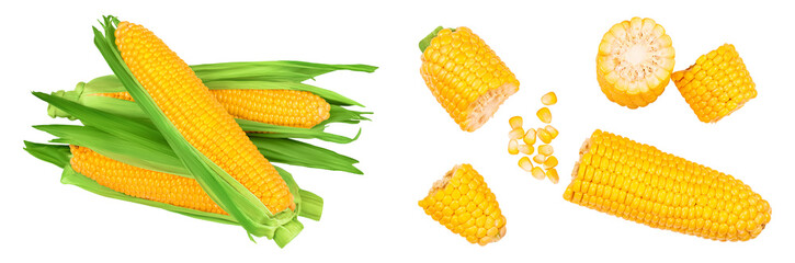 ear of corn isolated on a white background. Clipping path. Top view. Flat lay