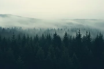 Fototapete Rund Misty landscape with fir forest in vintage retro style. © Jasmina