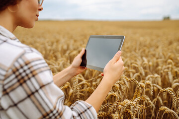 Naklejka na ściany i meble Woman farmer with digital tablet in agricultural field. Young woman agronomist in a wheat field checking crop growth with a modern tablet. Smart farm