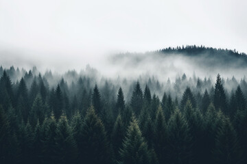 Naklejka premium Misty landscape with fir forest in vintage retro style.