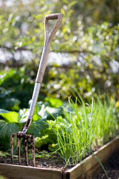 Close up of a pitchfork in a garden
