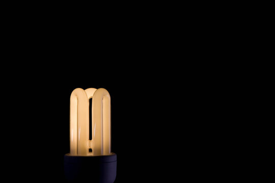 Illuminated energy efficient light bulb
