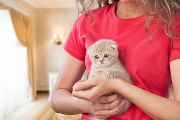Millennial young cheerful female cuddling cute domestic kitten