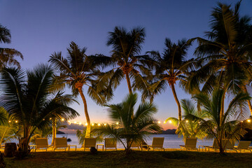 Illuminated palm trees and lounge chairs at night in Praslin island, Seychelles
