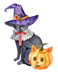 Watercolor hand-painted Halloween illustration of a cute black cat in a gorgera with a bow and in a witch hat, and a Jack-o-lantern on a transparent background.