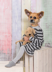 Kinder mit Tierköpfen - Fotoshooting