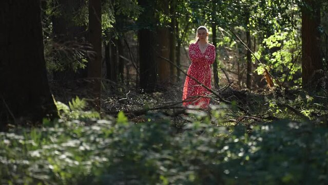 A woman in a red dress stands in the sunlit opening in the dark forest.