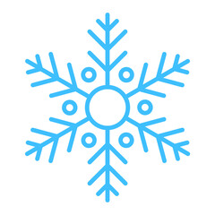 Winter Snowflake Icon