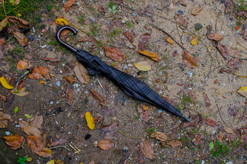 Obraz premium Closed umbrella on ground with fallen leaves. Autumn concept