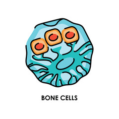 Human bone cell color line icon. Microorganisms microbes, bacteria.