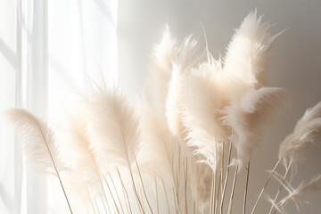 sunlight breaks through the fluffy branches of pampas grass