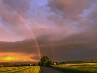 Spectacular natural phenomenon of a double rainbow illuminating the sky above an expansive grassland