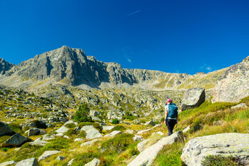 Fototapeta na wymiar Pyrenees Pessons peak and lakes in Andorra 