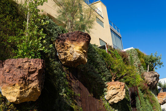 Modern building with vertical garden