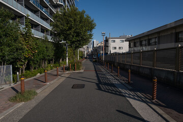 大阪、都市、風景、川、橋、秋	