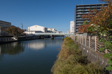 大阪、都市、風景、川、橋、秋	