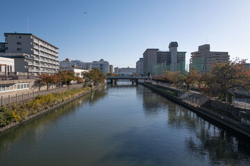 大阪、都市、風景、川、橋、秋	