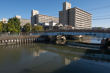 大阪、都市、風景、川、橋、秋	