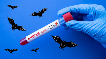 Bat. A doctor in a laboratory holds a test tube with a bat virus as a carrier of disease. Nipah...