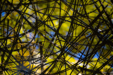 Fototapeta premium Graphic abstract open wicker canopy construction close up dark contrast colorful sunlit blue sky green vegetation blurred background