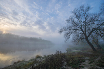 foggy morning on the river