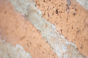Pared 2
