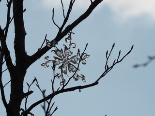 木の枝に吊るした雪のオブジェ