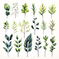 set of watercolor clip art of leaves and branches isolated on white background for graphic design