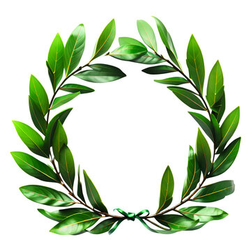 Green Laurel wreath Isolated on Transparent Background