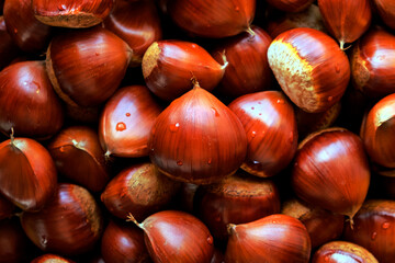 Chestnuts background.