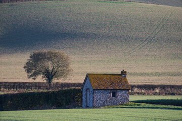 High-Resolution Farm Outbuilding Amidst Rolling Hills, Hampshire