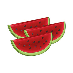 watermelon slice illustration 