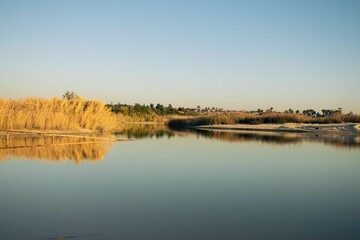 Tranquil marsh showcases azure blue sky in its mirror-like reflection of the tranquil water