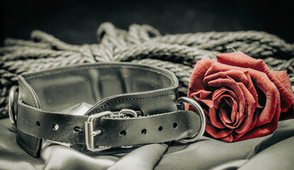 bdsm still life, black human collar, scarlet rose, hank of black rope for bondage shibari on a gray...
