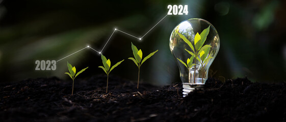Saving and growth energy and environment.  Tree growth compared to year 2023 to 2024 in light bulb for saving Ecology energy nature. Development to success Year 2024 - obrazy, fototapety, plakaty