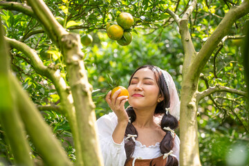 Happy woman farmer smiling in the garden with organic orange tree plant garden and harvesting ripe orange crop.this is agriculture smart harvesting and plantation concept. 