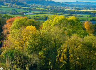 Vibrant early autumn tree colour Burton Dassett Hills, Warwickshire, UK - 675323328