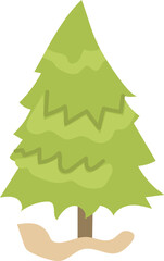 Pine tree illustration