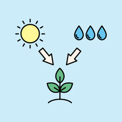 illustration of growing plant, photosythesis with the help of sun and rain as a source of water