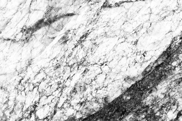 White marble background with copy space.