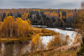 Autumn landscape. View of the rivers and autumn forest.