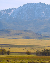 landscape, mountain, sky, nature, mountains, clouds, hill, panorama, cloud, valley, summer, grass, field, forest, Kazakhstan nature, tree, green, hills, lake, countryside, travel, meadow, sunset, rura