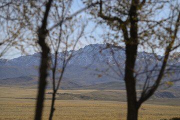 landscape, mountain, sky, nature, mountains, clouds, hill, panorama, cloud, valley, summer, grass, field, forest, Kazakhstan nature, tree, green, hills, lake, countryside, travel, meadow, sunset, rura