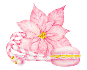 Pink poinsettia, berries, New Year's candy canes, macaron. Watercolor hand drawn clip art with Christmas star. Winter symbol for holiday season prints, greeting cards, banner, invitation, poster