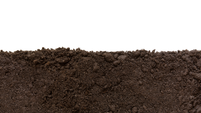 Soil patch texture. Png, isolated on a transparent background. Earth Day - April 22. Black biosoil or soil substrate in the form of a frame or border